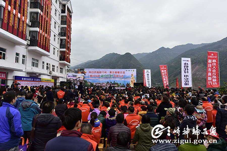 秭归脐橙正式开园 当天签约销售8.8万吨