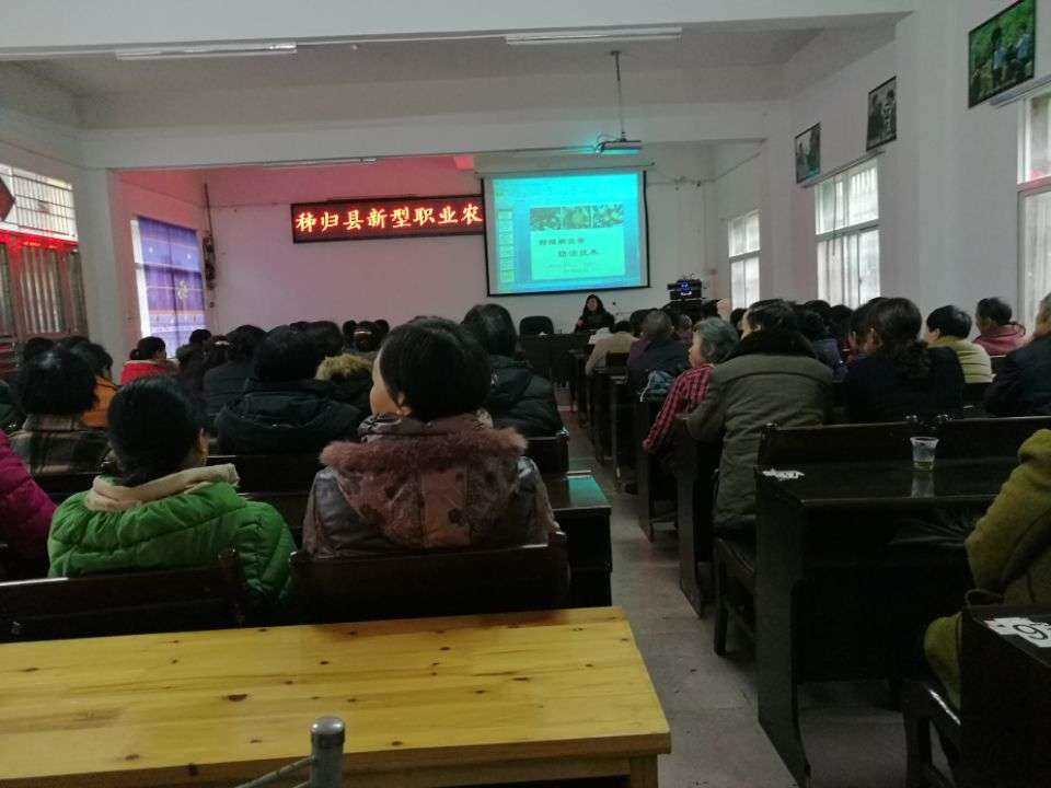 提升柑橘管理水平 培育新型职业农民